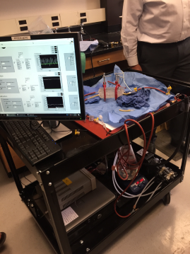 Operating Model